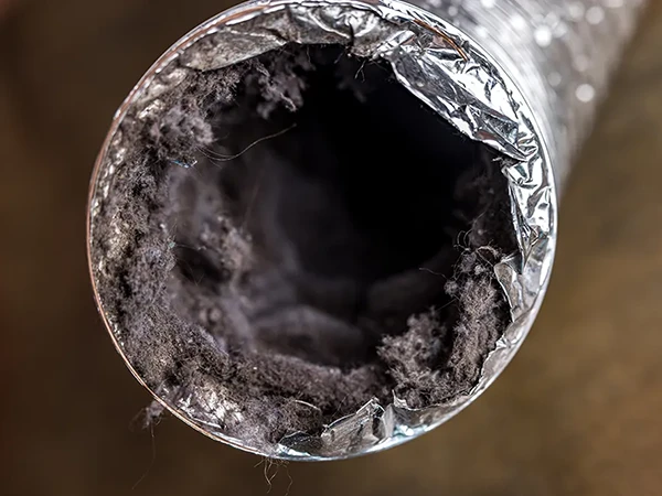 Dryer Vent being Cleaned For Air Quality North Carolina